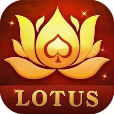 next rummy download